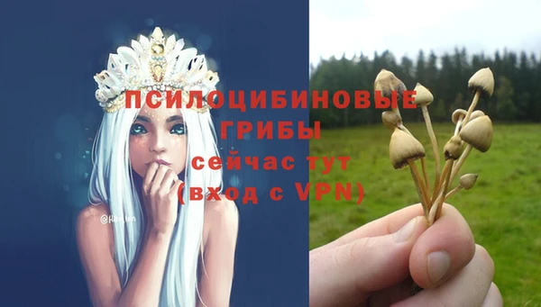 a pvp Михайловск
