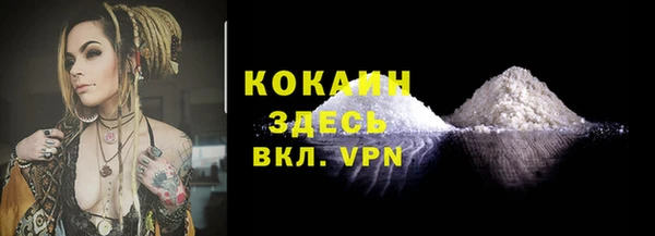 индика Михайловка