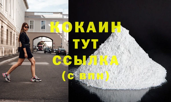 индика Михайловка
