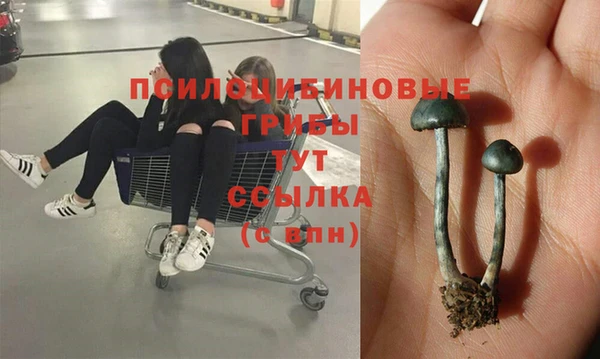 гашишное масло Михайлов