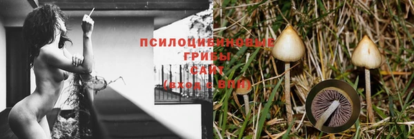 гашишное масло Михайлов