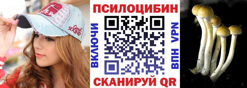 Купить где  Кодинск  Галлюциногенные грибы GOLDEN TEACHER 